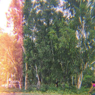 Stopping by Woods by Robert Frost