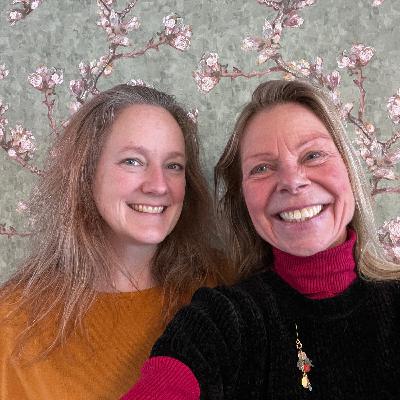 De nervus vagus uitgelegd