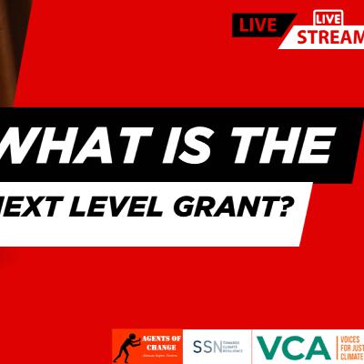 WHATS THE NEXT LEVEL GRANT