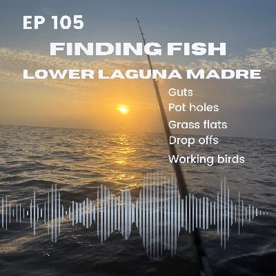 Finding Fish- Lower Laguna Madre