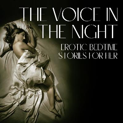 The Voice In The Night: Erotic Bedtime Stories For Her The Voice In The Night: Erotic Bedtime Stories For Her