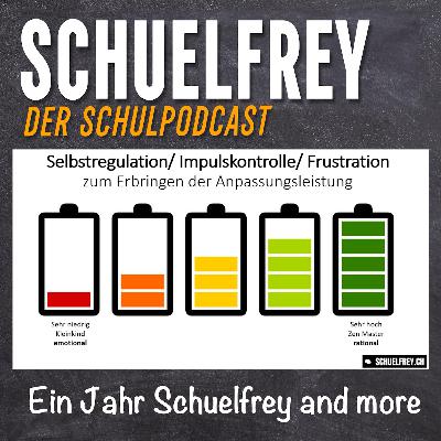 1 Jahr Schuelfrey - angepasster gehts nicht mehr (Bonusfolge)