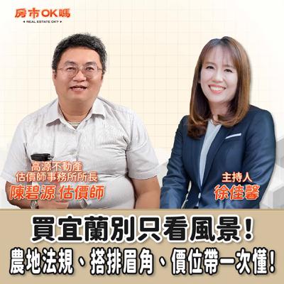 【房市ok嗎？】 買宜蘭別只看風景！農地法規、搭排眉角、價位帶一次懂！│徐佳馨 ft.陳碧源 估價師 高源不動產估價師事務所所長