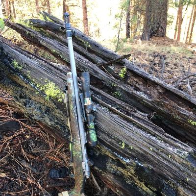 Bolt Gun University - Push Feed V Controlled Round Feed Magazines 2 lug or 3 - Understanding Practical Bolt Actions Bolt Gun University - Push Feed V Controlled Round Feed Magazines 2 lug or 3 - Understanding Practical Bolt Actions