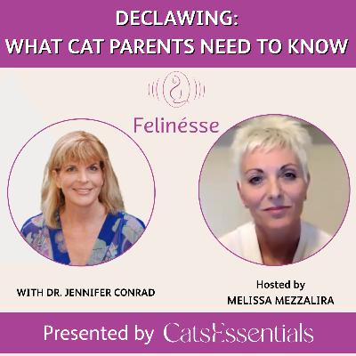 Dr. Jennifer Conrad: Declawing: What Cat Parents Need to Know | Felinésse Podcast | CatsEssentials