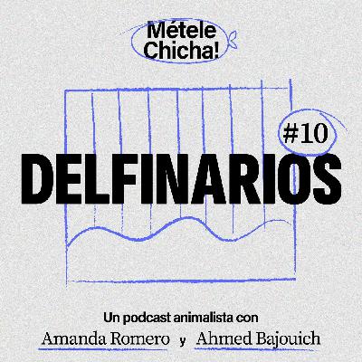Métele chicha - Delfinarios Métele chicha - Delfinarios