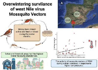 Sergio Magallanes - cuadras y alcantarillas -