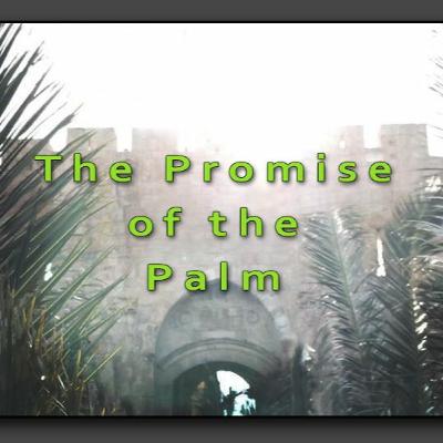 The Honest Truth Behind Being a First Time Author // Ep. 25