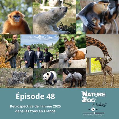 Épisode 48 (Rétrospective) - Retour sur les actualités et nos visites en 2025