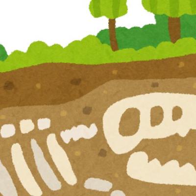 53. 11歳男子との「オンライン自然教室」で感じたこと