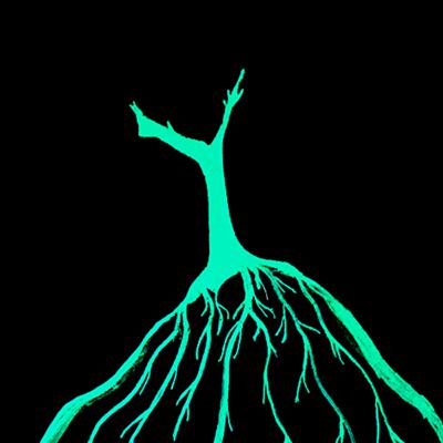 Episodi 24 - Un viatge sonor per la Segona Temporada