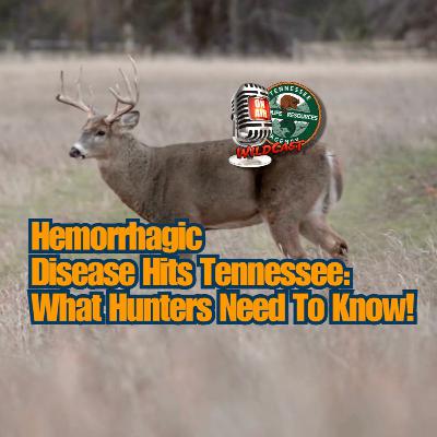 TW 447 - Hemorrhagic Disease Hits Tennessee: What Hunters Need To Know! TW 447 - Hemorrhagic Disease Hits Tennessee: What Hunters Need To Know!