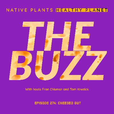 The Buzz - Cheesed Out The Buzz - Cheesed Out