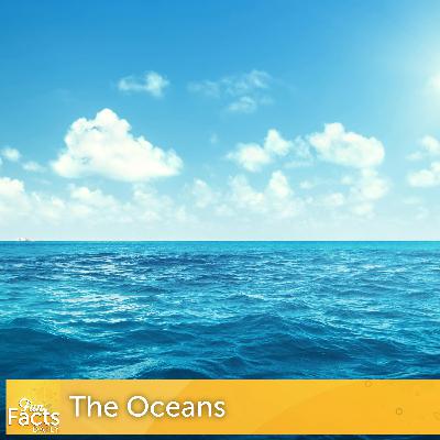 Fun Facts About the Oceans