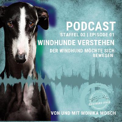 Windhunde verstehen - Der Windhund möchte sich bewegen. Windhunde verstehen - Der Windhund möchte sich bewegen.