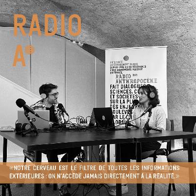 Nos systèmes cognitifs de raisonnement