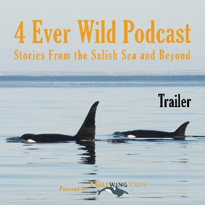 Trailer: 4 Ever Wild Trailer: 4 Ever Wild