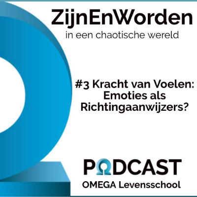 De Kracht van Voelen - Wat emoties je willen vertellen | Setting The Stage 3 | met Mauk Pieper De Kracht van Voelen - Wat emoties je willen vertellen | Setting The Stage 3 | met Mauk Pieper