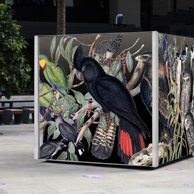 Birds of Australia Panel Talk