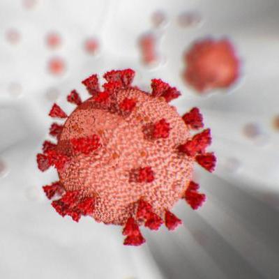 الاوبئة التي اصابت الانسانية الاوبئة التي اصابت الانسانية