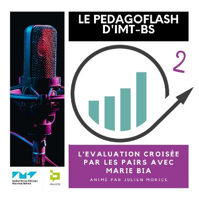 #8 - L'évaluation croisée par les pairs avec Marie Bia