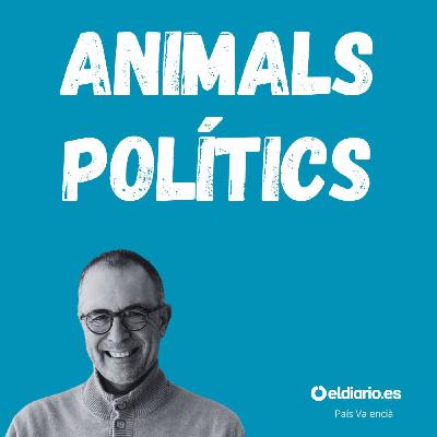Ep. 26 - Més combustible per a Falles