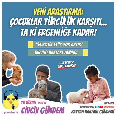 İnsanların Türcülüğü Ergenlikte Öğrendiği Ortaya Kondu | 16 Nisan 2022 - Bölüm 16