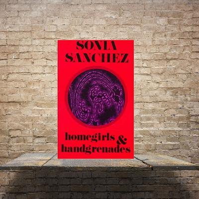 Episode 3 - Book Review of Homegirls And Handgrenades By Sonia Sanchez