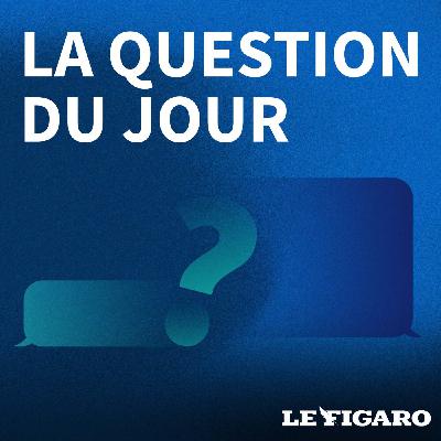 Pour ou contre la proposition de pavoiser les mairies du drapeau palestinien le 22 septembre ?
