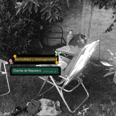 CAP 3 - Normalidad y Heterogeneidad