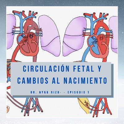 Circulación fetal y sus cambios al nacimiento