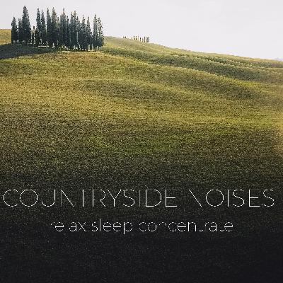 Quiet Windy Countryside Ambience | Noises for better sleep, relaxing, focus time & baby soothe Quiet Windy Countryside Ambience | Noises for better sleep, relaxing, focus time & baby soothe