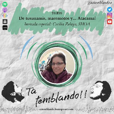 T1E5 - De tusunamis, maremotos y... Atacama!