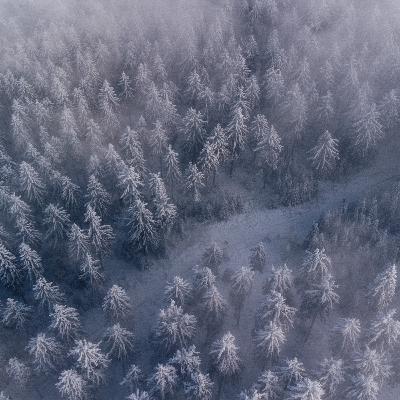 S6.EP3 - We Are ND Nation Podcast S6.EP3 - We Are ND Nation Podcast