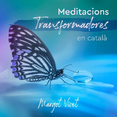 Transformant la situació del coronavirus