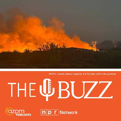 Wildfire and home insurance Wildfire and home insurance