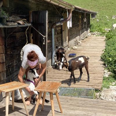 Arbeiten und Aufatmen auf der Alm