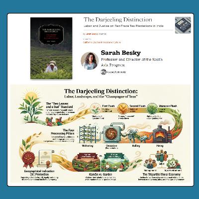 The Darjeeling Distinction (Besky 2013) - Weekend Classics