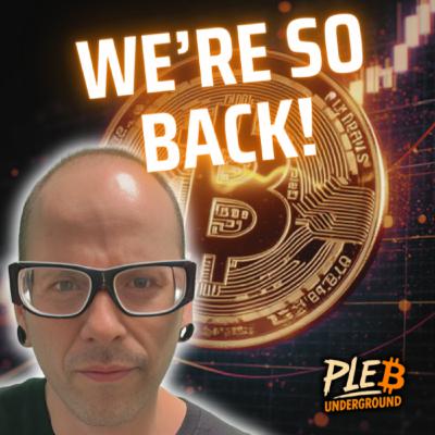 Bitcoin Rebound!, Where do we go from here?