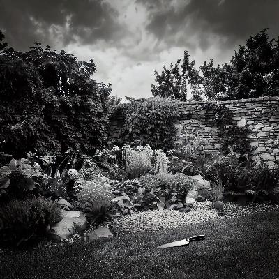 over the garden wall