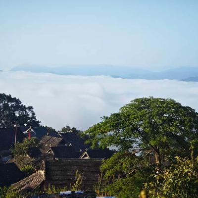 39 🇨🇳 景迈山 颠簸的碎石路 如何成了我的精神家园 39 🇨🇳 景迈山 颠簸的碎石路 如何成了我的精神家园