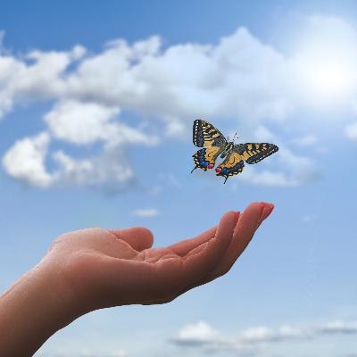 A Sermon from Faith - Sun 26.05.19 A Sermon from Faith - Sun 26.05.19