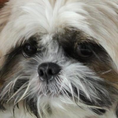 Podcast, Beatriz Gonçalves Mattos :)