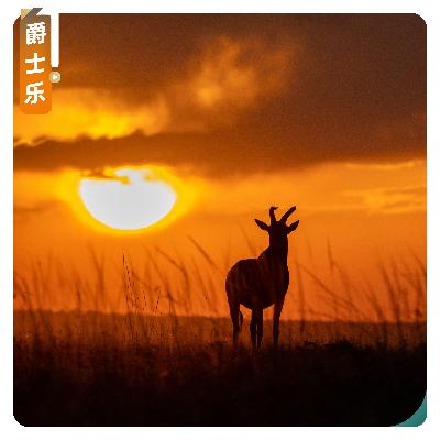 【爵士乐】可可西里升起的太阳