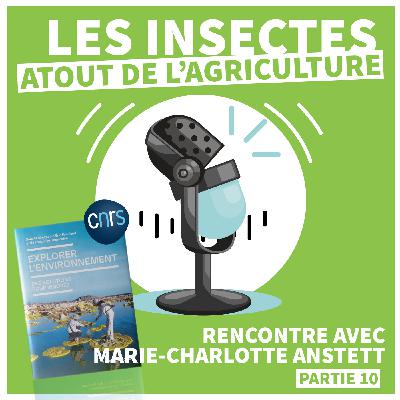 EXPLORER L'ENVIRONNEMENT | Les insectes : Atout de l'agriculture [Épisode 10]