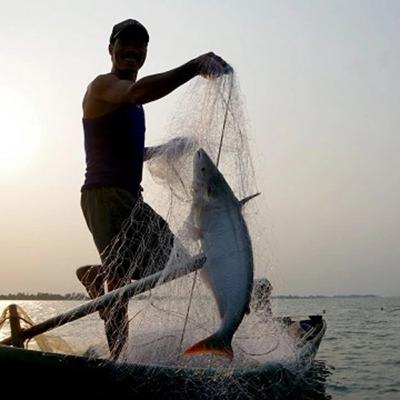 Người cũ cảnh xưa: Chim trời, cá nước, rau đồng Bài 3: Đỏ đèn săn cá Bông Lau Người cũ cảnh xưa: Chim trời, cá nước, rau đồng Bài 3: Đỏ đèn săn cá Bông Lau