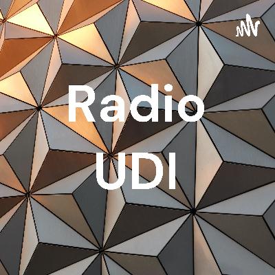 Radio Udi
