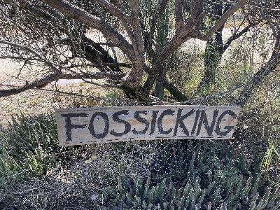 S3 Ep11: VILLAGES Lightning Ridge S3 Ep11: VILLAGES Lightning Ridge