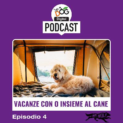 Prepararsi al meglio per una vacanza con il cane Prepararsi al meglio per una vacanza con il cane