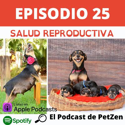 Episodio #25 Salud Reproductiva